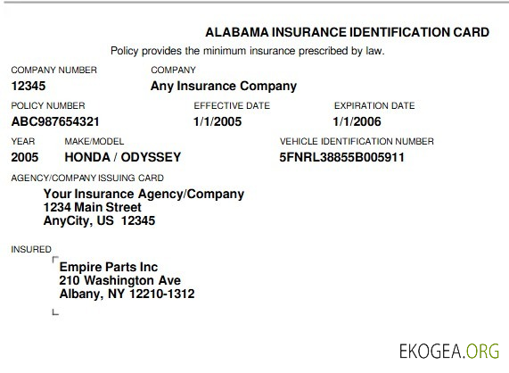 Carte d'identité d'assurance maladie USA Alabama